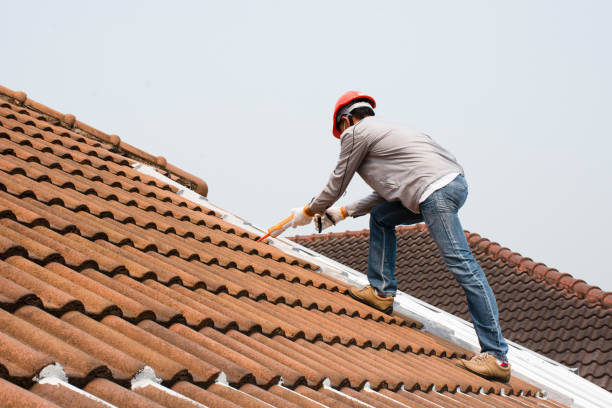 Best Metal Roofing Installation  in Arcola, VA