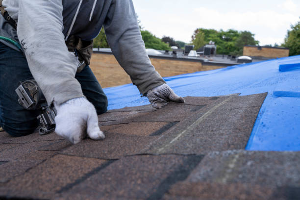 Best Solar Panel Roofing Installation  in Arcola, VA